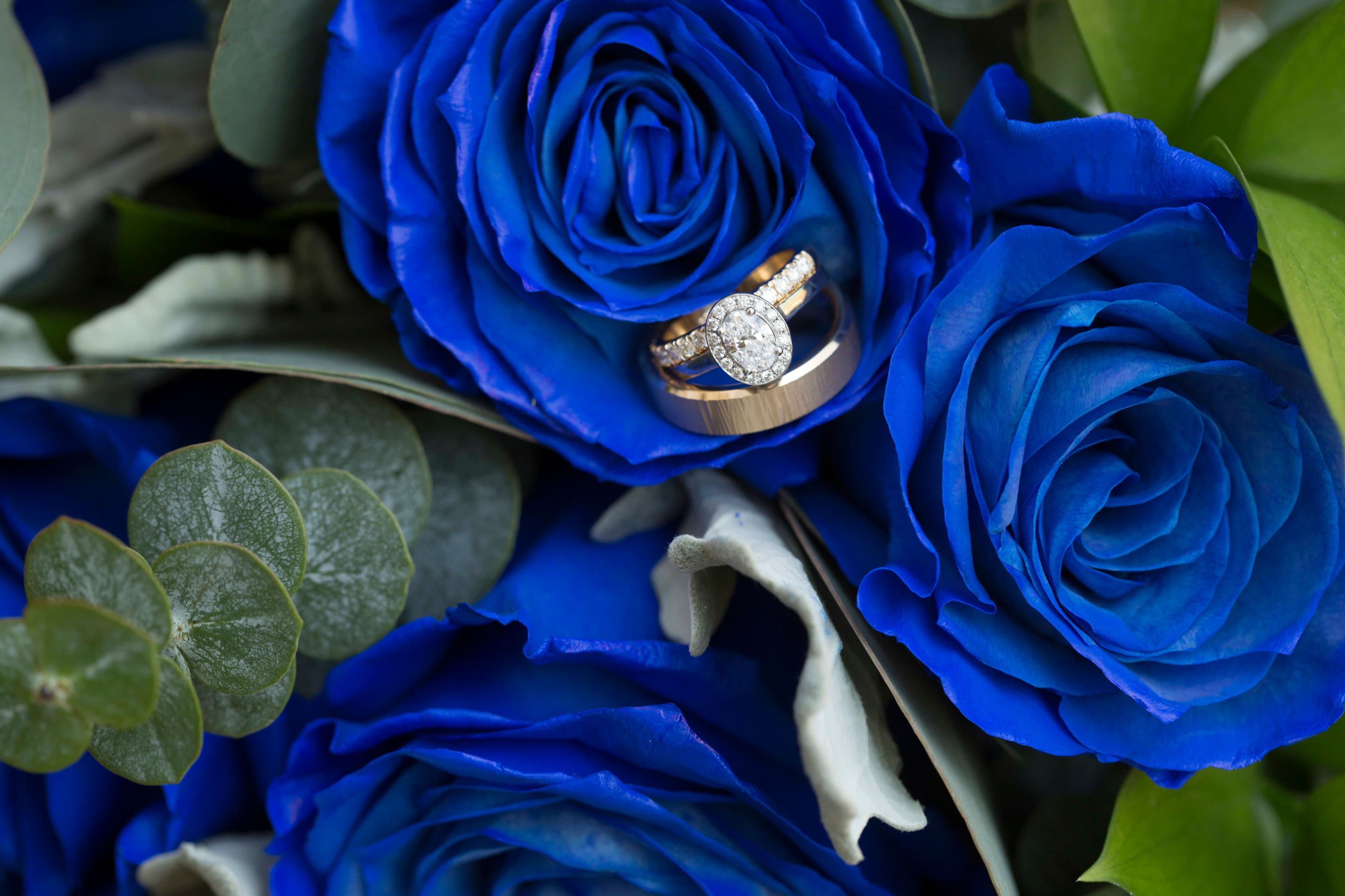 The wedding ring, Heart to heart photography, Thorold wedding photographer, wedding photographer, wedding rings in amongst blue flowers