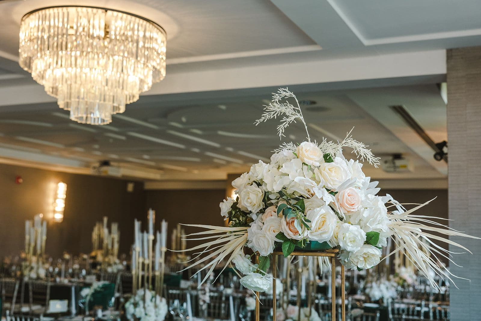 Candice &amp; Vinay's Reception