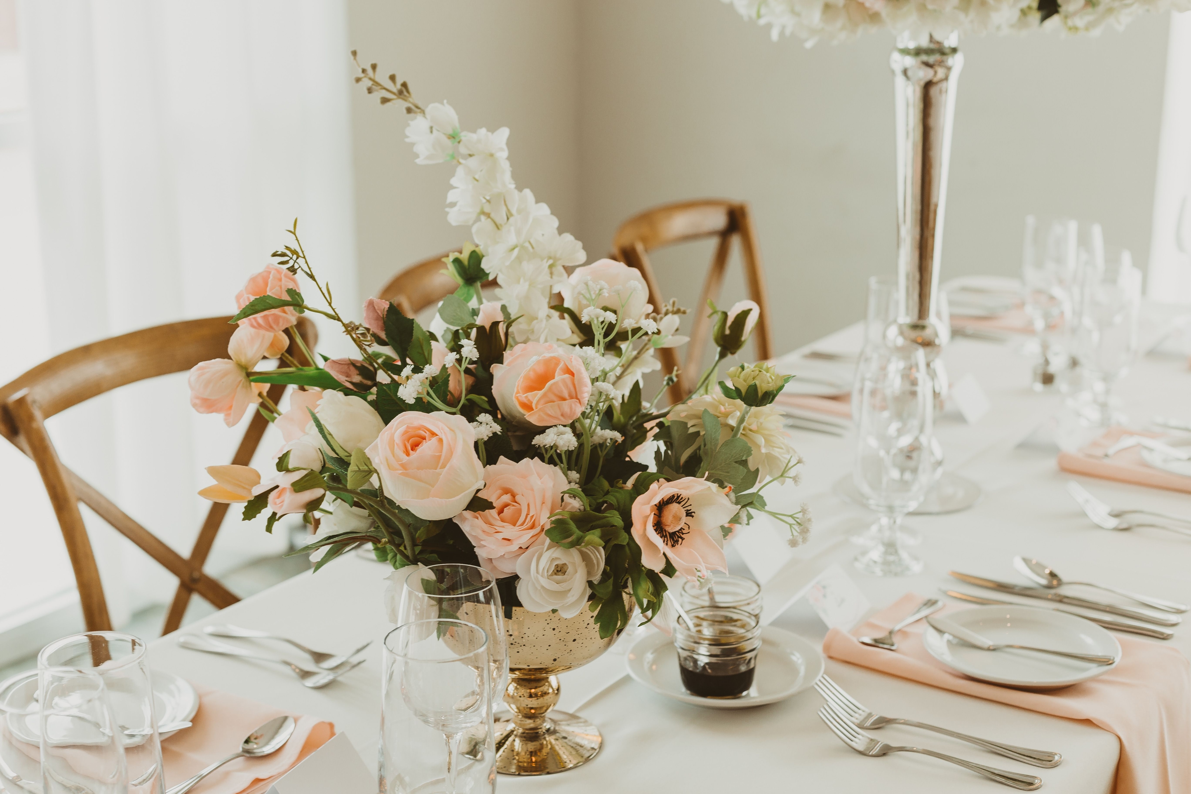 Cambridge Butterfly Conservatory - Marketing Images - T&D