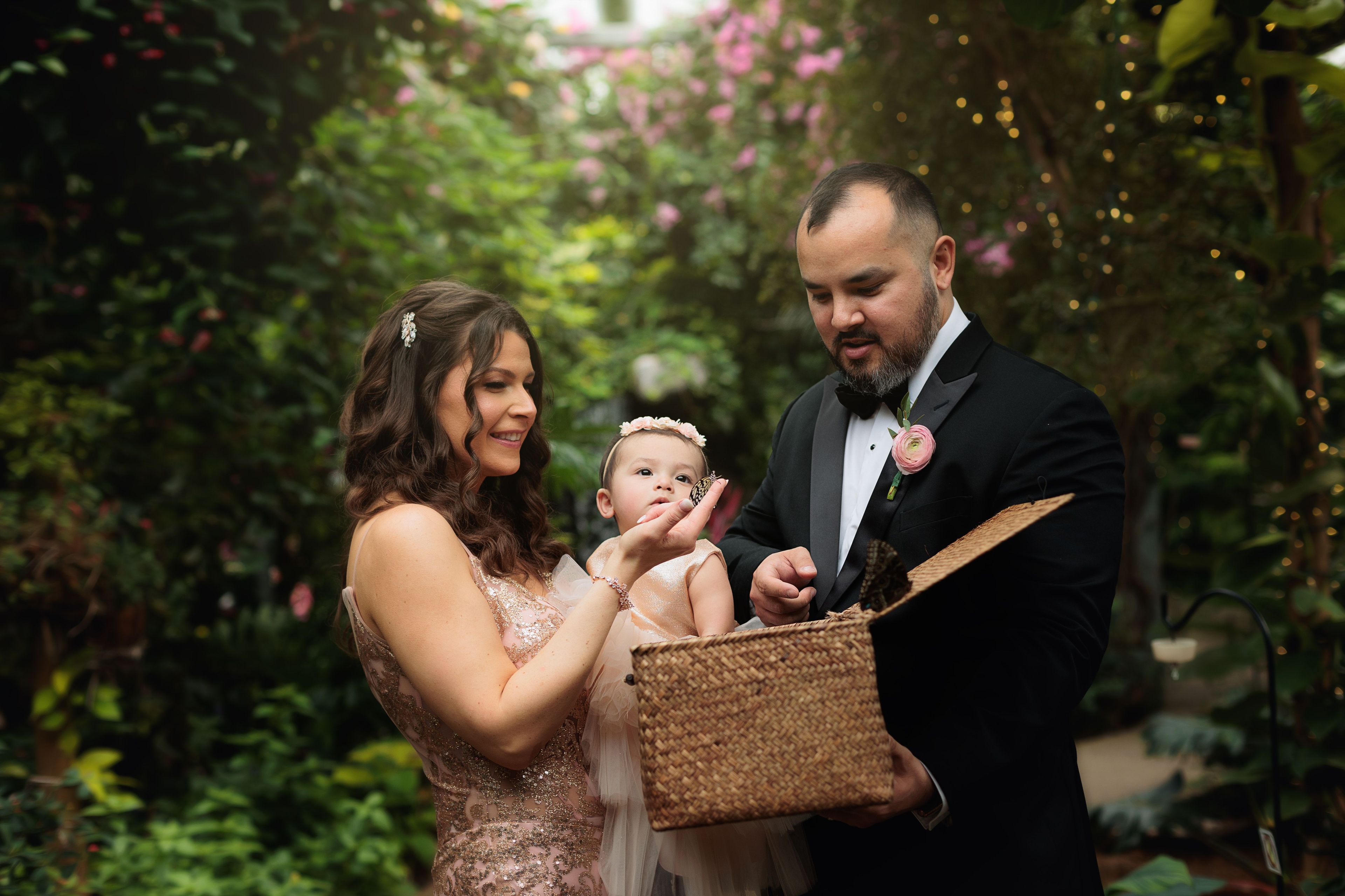 Cambridge Butterfly Conservatory - Marketing Images - T&D