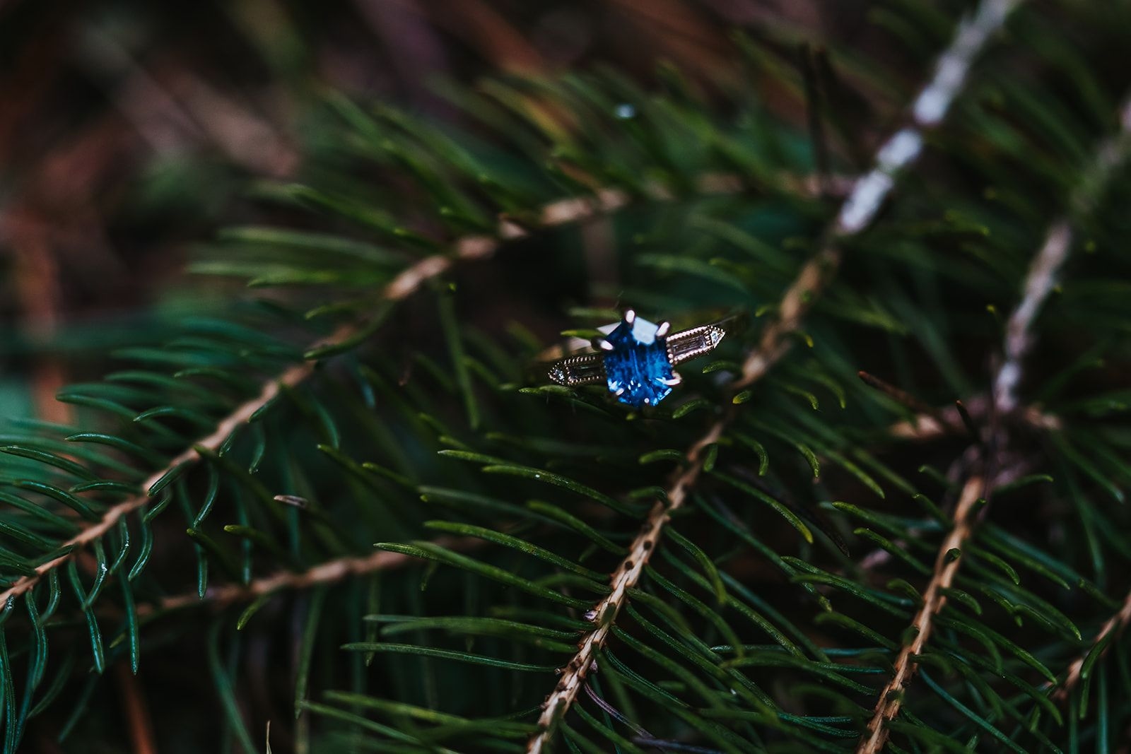 Julia & Nick's Engagement