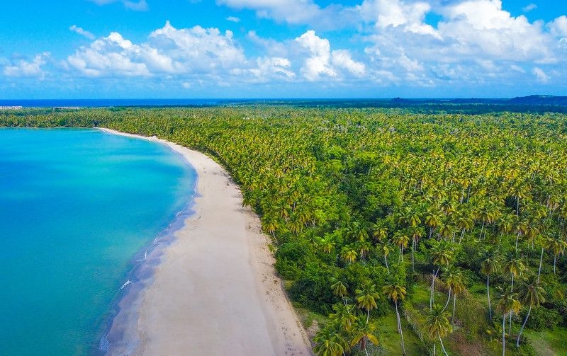 The Wedding Ring - theweddingring.ca