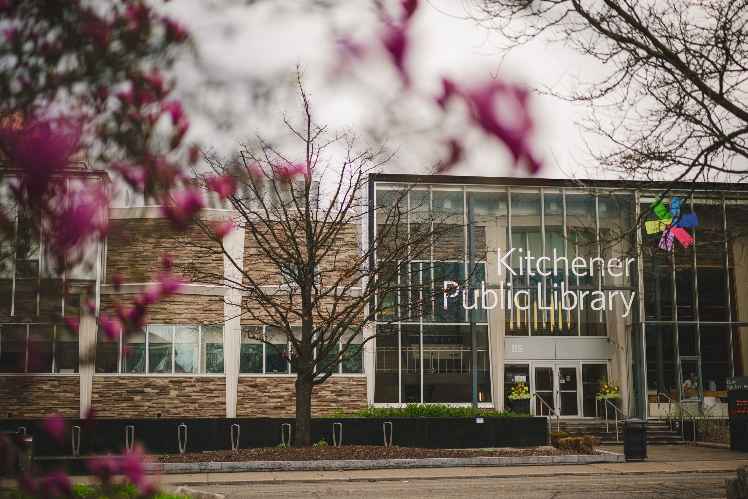 Library Wedding Love Story