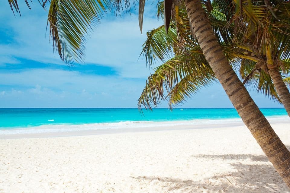 Destination Wedding Budget