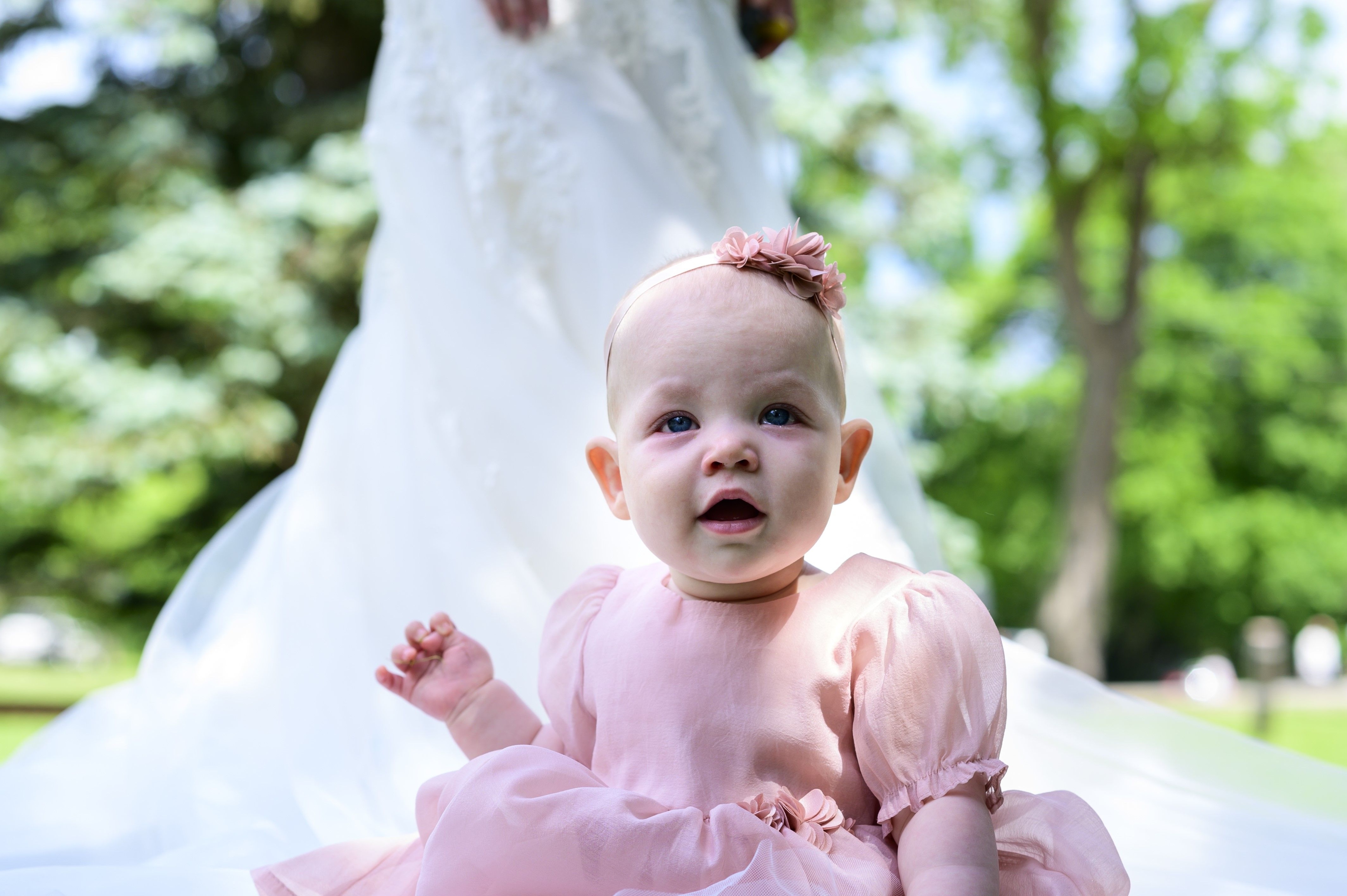 The Wedding Ring - theweddingring.ca