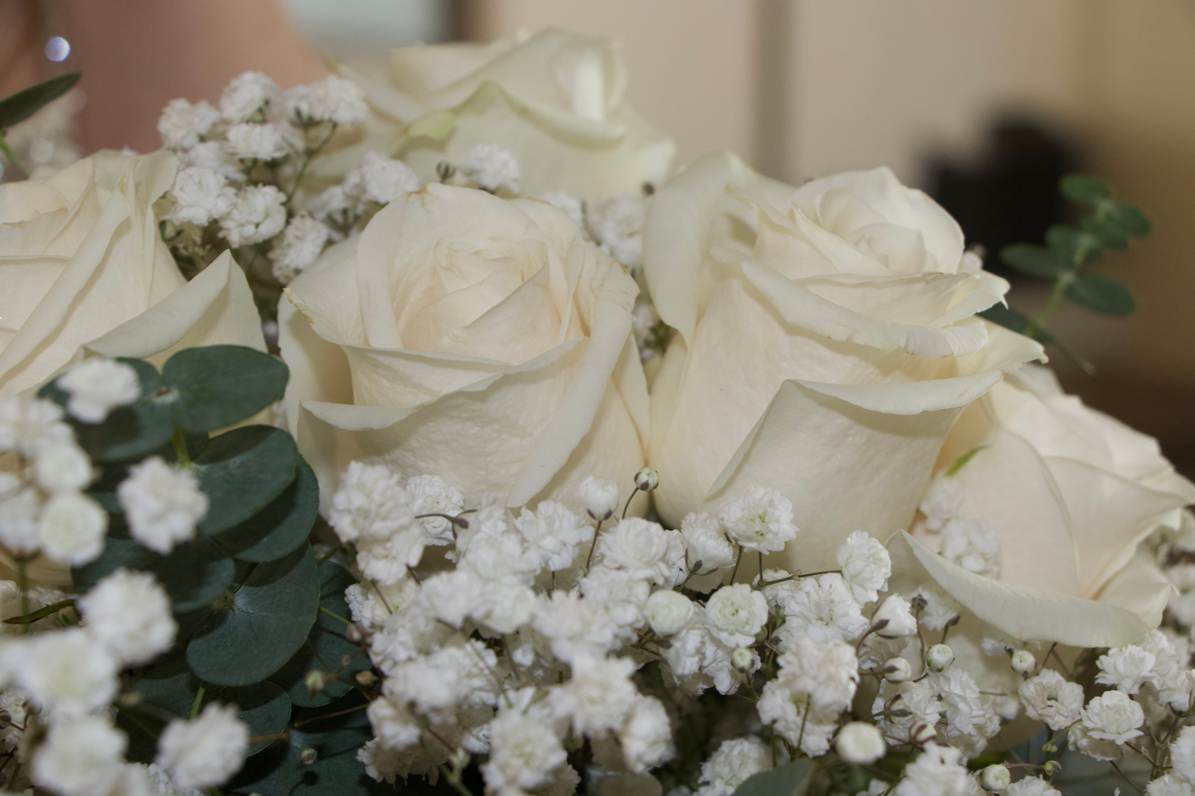 The Wedding Ring - theweddingring.ca