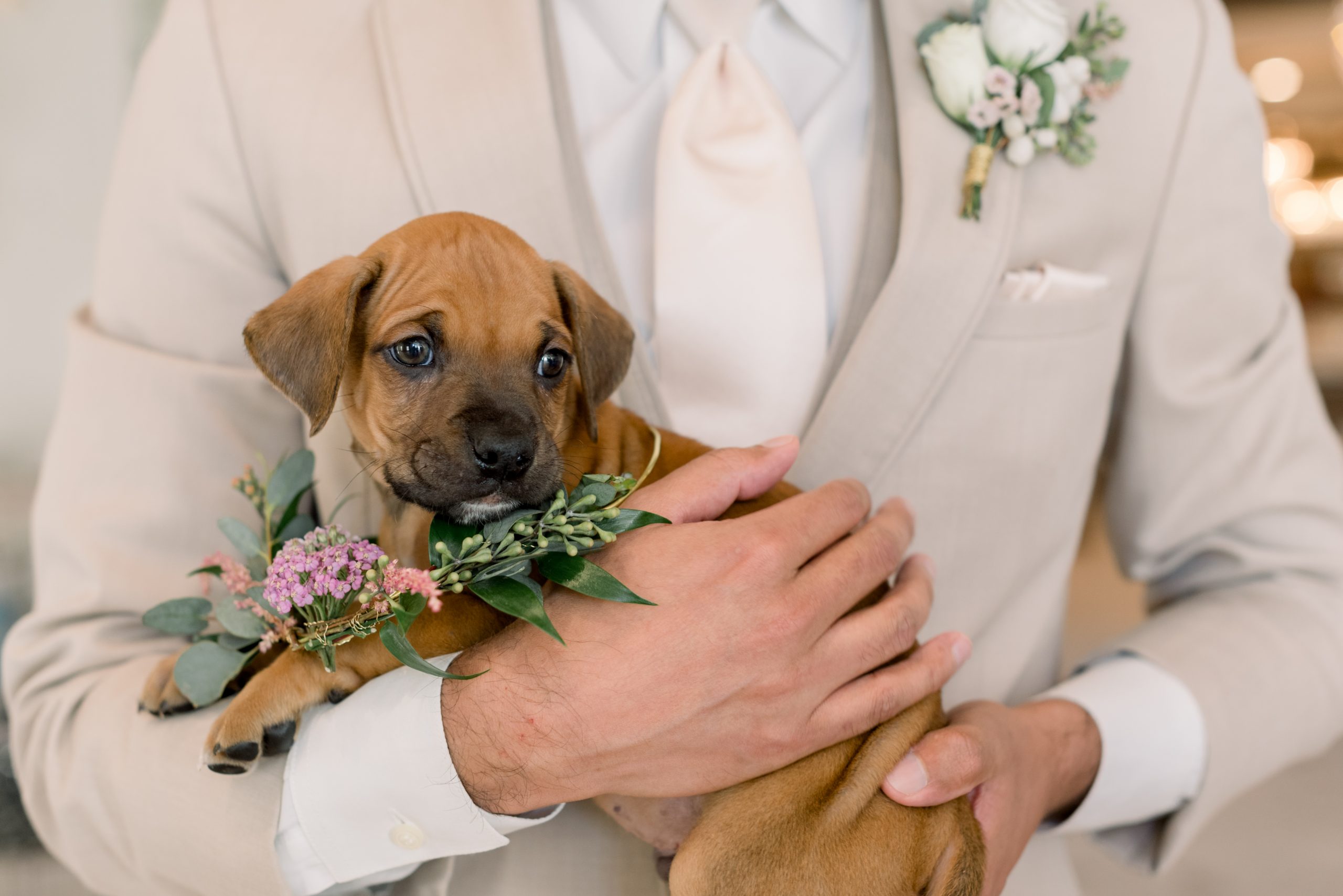 satin and slate weddings